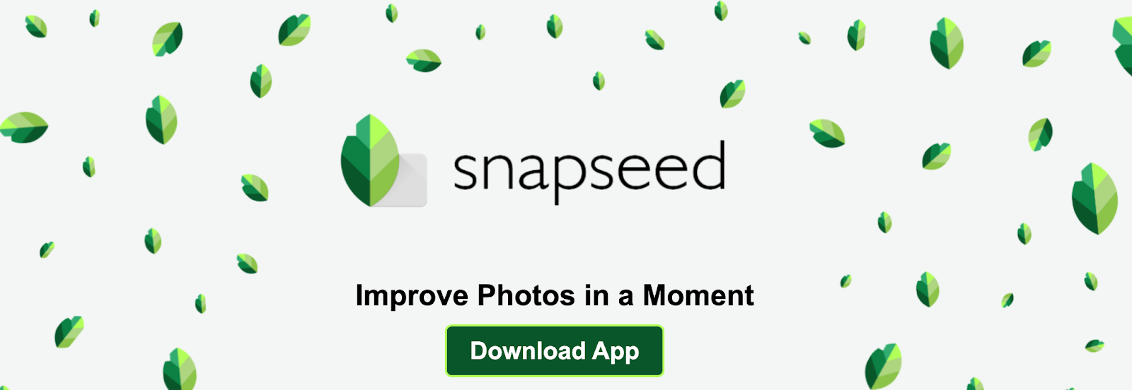 Best Photoroom Alternatives In 2025