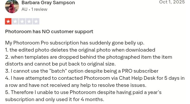 Best Photoroom Alternatives In 2025